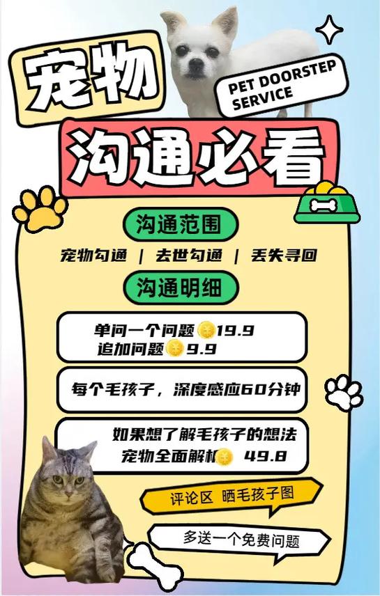 毛孩子成新流量密码,个人热点密码可以修改几次?