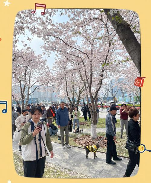 毛孩子成新流量密码,流量什么是初始密码?