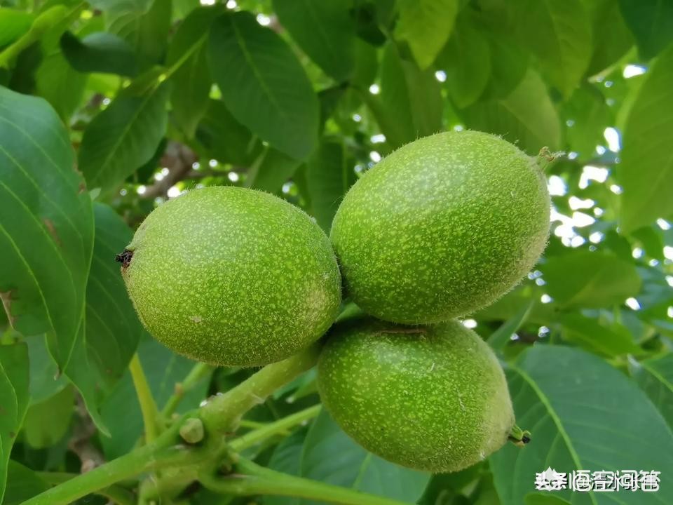 坐卧铺嫌同车人脚臭,卧铺脚臭怎么办？