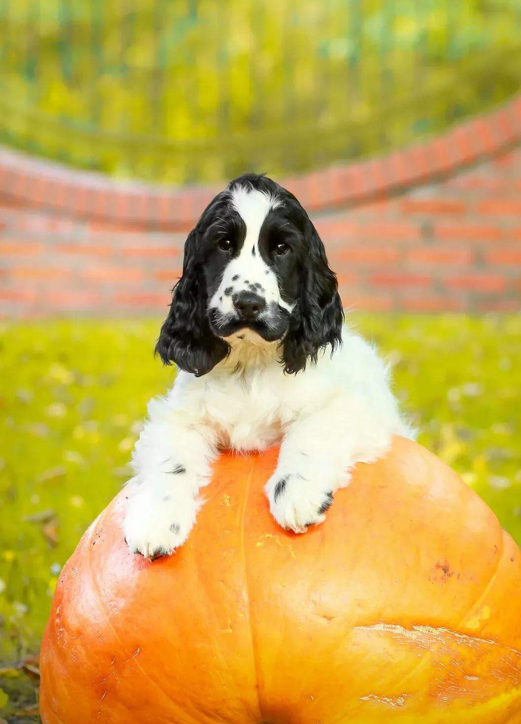 男演员确诊不死癌症,李宇春患上“不死的癌症”要靠轮椅出行,年轻人如何才能拒绝“石化”? 男演员确诊不死癌症,李宇春患上“不死的癌症”要靠轮椅出行,年轻人如何才能拒绝“石化”?