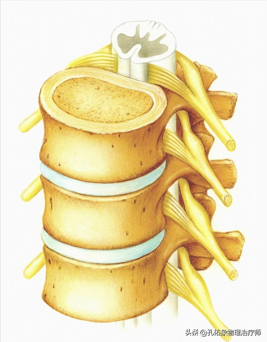 男演员确诊不死癌症,十大不死癌症是哪些?患这些癌症会有多大的存活率? 男演员确诊不死癌症,十大不死癌症是哪些?患这些癌症会有多大的存活率?