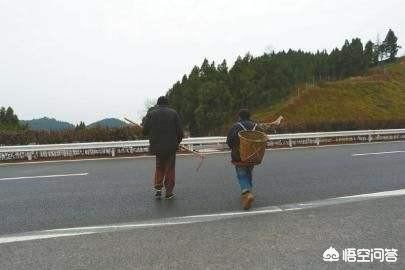 高速路突现行人,高速公路有行人归谁管？