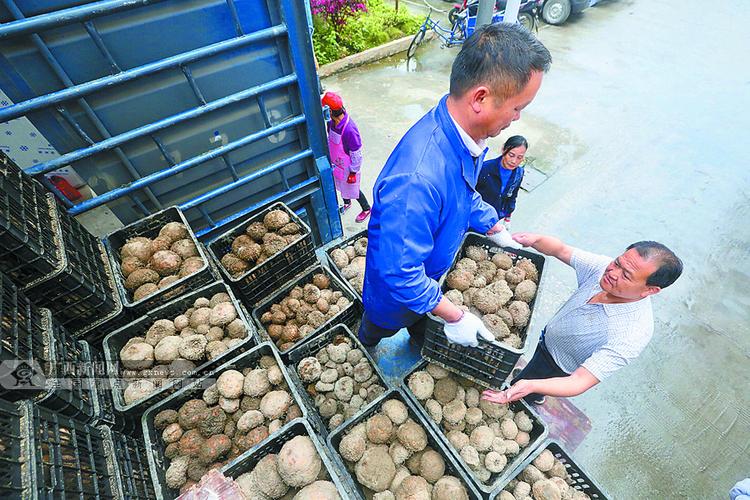 家中38万现金被盗,取80万需要什么手续?