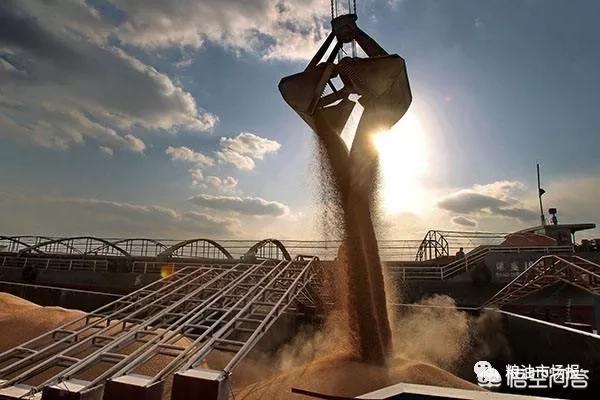 没买过美国一粒大豆,从美国进口大豆流程？