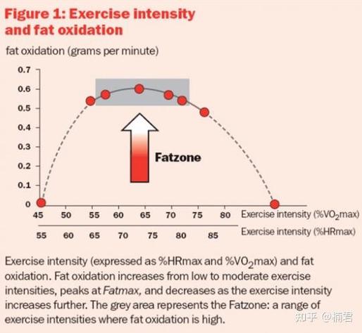 运动减肥的起效时间,运动减肥的起效时间是多久