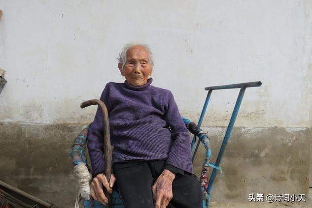 害怕丢工作活埋儿子,活埋79岁母亲男子被拘捕，母亲担心儿子受罚，谎称自己爬进墓穴，你怎么看？