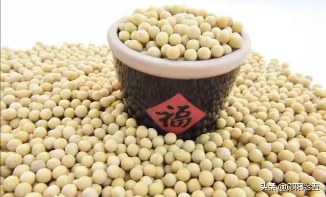 没买过美国一粒大豆,美国新大豆几月份出来? 没买过美国一粒大豆,美国新大豆几月份出来?