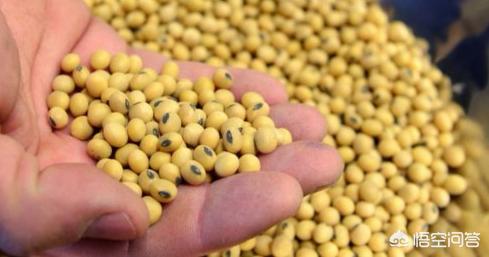 没买过美国一粒大豆,某企业欲从美国购买50000吨大豆，试问应选择何种运输方式为宜？