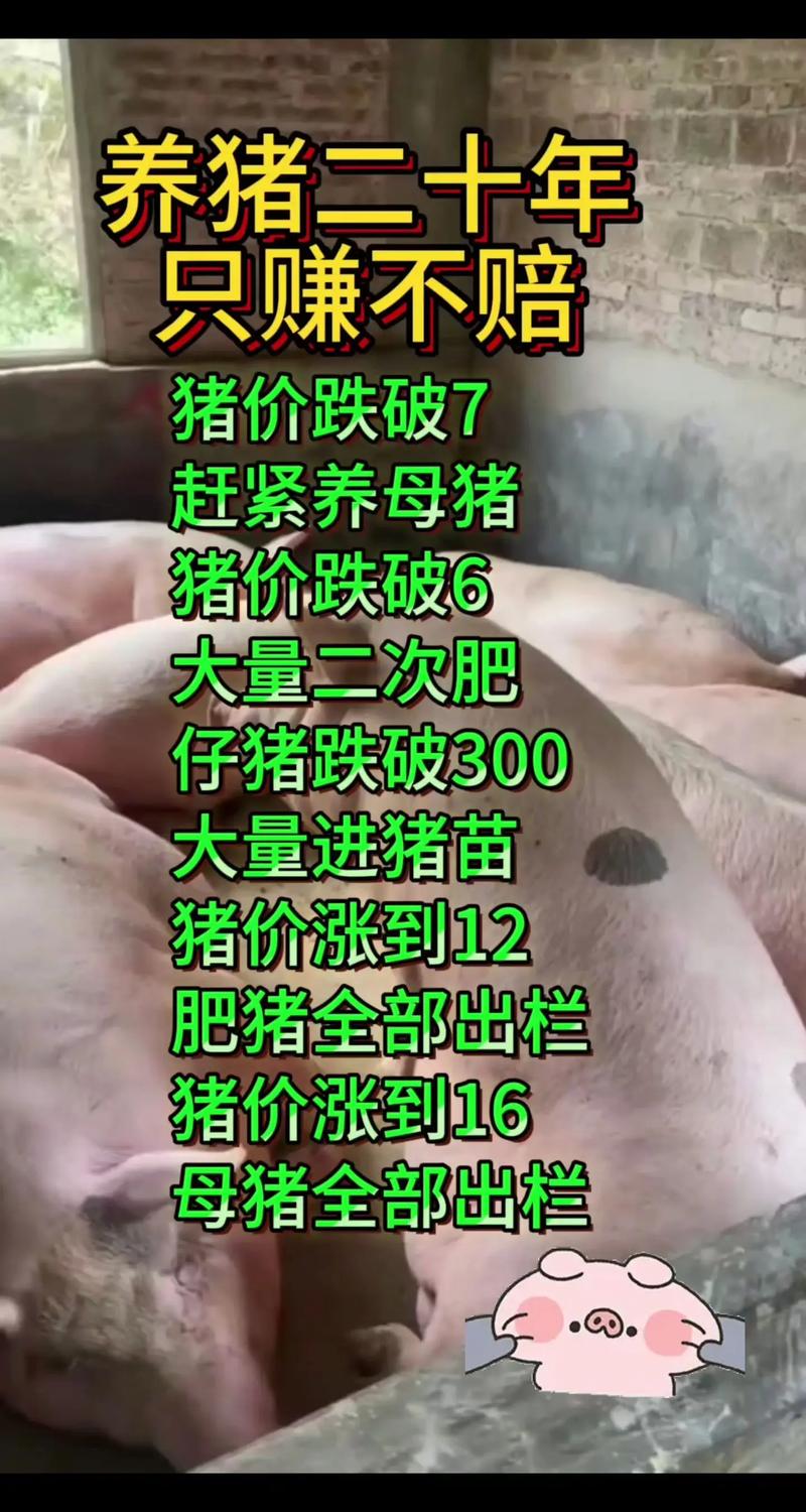 养猪场少了20头猪,养猪场少了20头猪怎么办