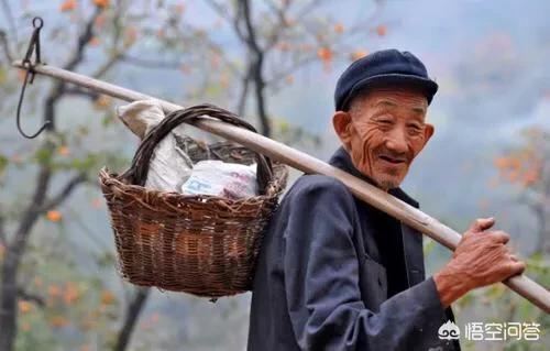 捡剧毒蛇后轮流抚摸,蛇静养可以摸吗？