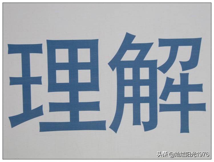 11名“班主任”落网,