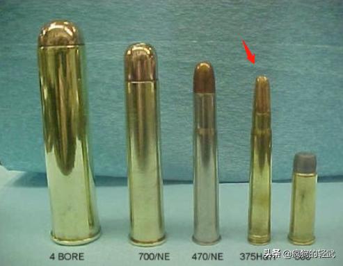 玩手枪失手击毙自己 ,9x19mm手枪能一枪放倒老虎吗？