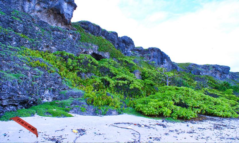 无人岛现巨大垃圾坑,垃圾无人清理该向哪个部门投诉?