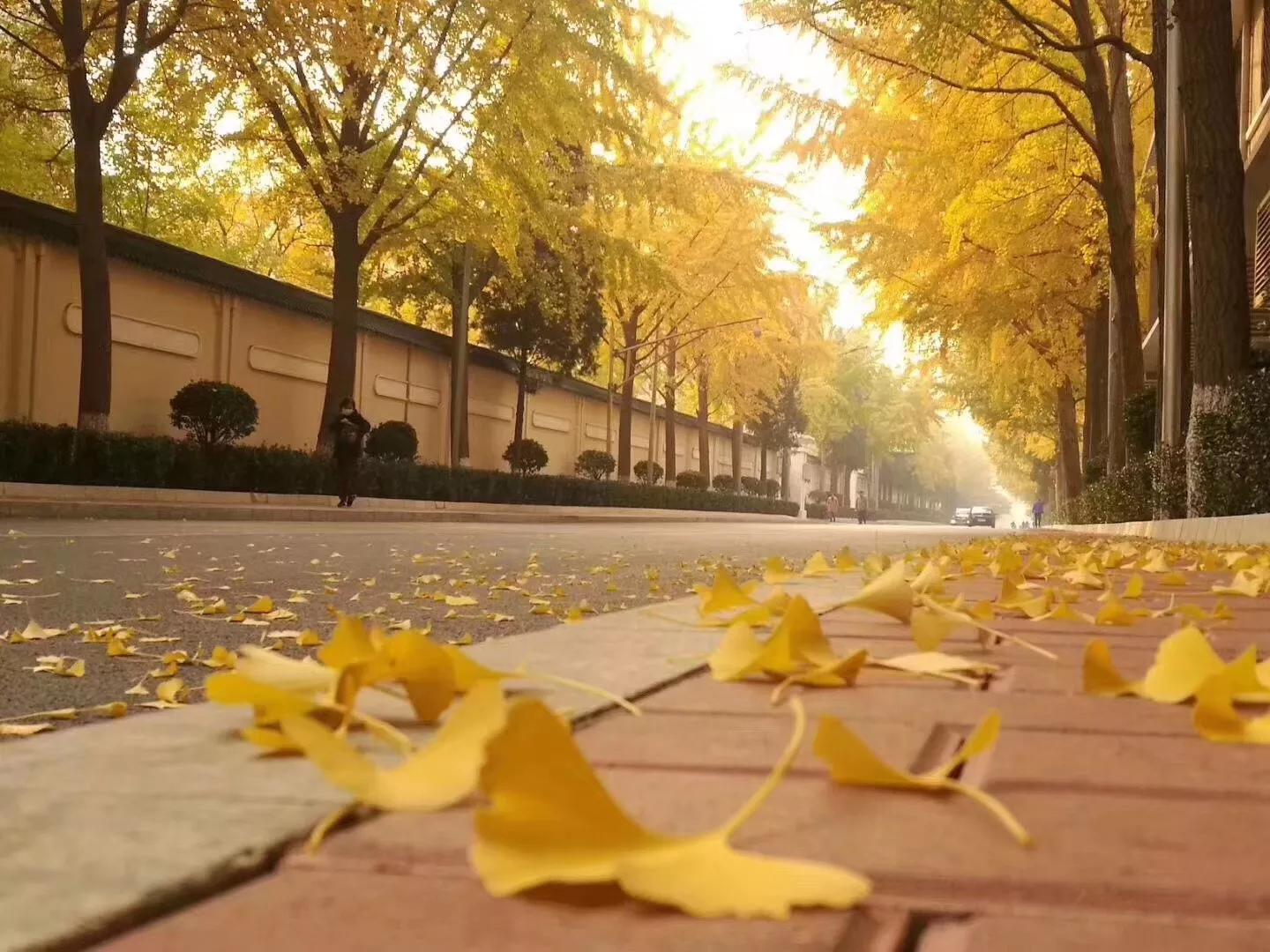 外卖小哥失踪22天,外卖小哥失踪22天视频