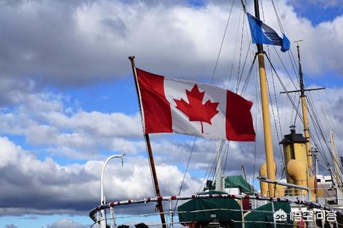 加拿大油菜籽价大跌,加拿大产的芥花籽油是何种性质的油? 加拿大油菜籽价大跌,加拿大产的芥花籽油是何种性质的油?