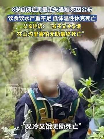 14岁自闭症男孩坠楼,14岁自闭症男孩坠楼死亡