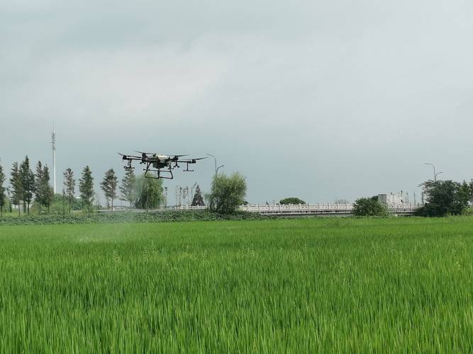 无人机飞过整懵解说,无人机过去