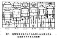 肿瘤细胞分裂全过程,肿瘤细胞分裂全过程图