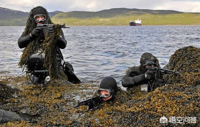 航母撞烂用海报挡洞,蛙人是否能够摧毁航母、驱逐舰等大型舰艇？有何应对手段呢？