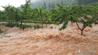 洪涝毁400亩农作物,七月九日一场大暴雨将农作物淹没，会给农作物带来哪些不利因素？洪水退去该如何善后？