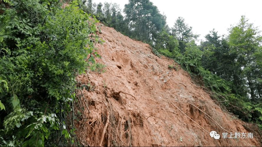 洪涝毁400亩农作物,农作物水灾赔偿标准?