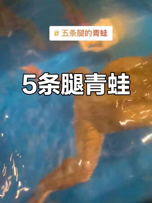 广东惊现五条腿怪牛,五条腿的怪物