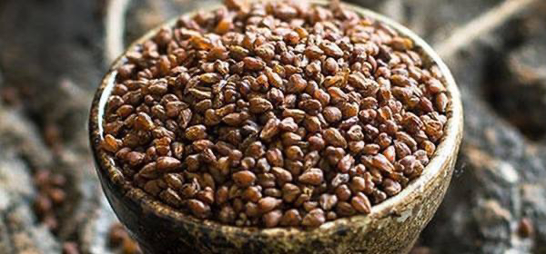 荞麦片里吃出炸肥虫,荞麦片里吃出炸肥虫怎么办 荞麦片里吃出炸肥虫,荞麦片里吃出炸肥虫怎么办