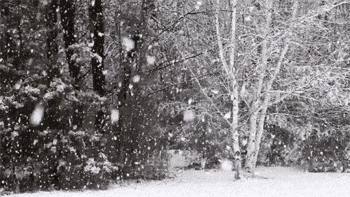 哈尔滨下雪了,202112月哈尔滨下雪吗? 哈尔滨下雪了,202112月哈尔滨下雪吗?