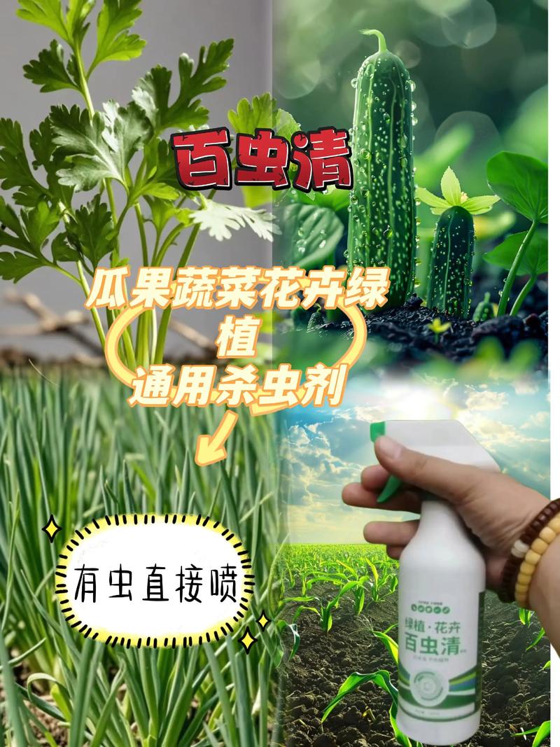 员工给蔬菜喷杀虫剂,枪手家用杀虫剂可以喷蔬菜吗?