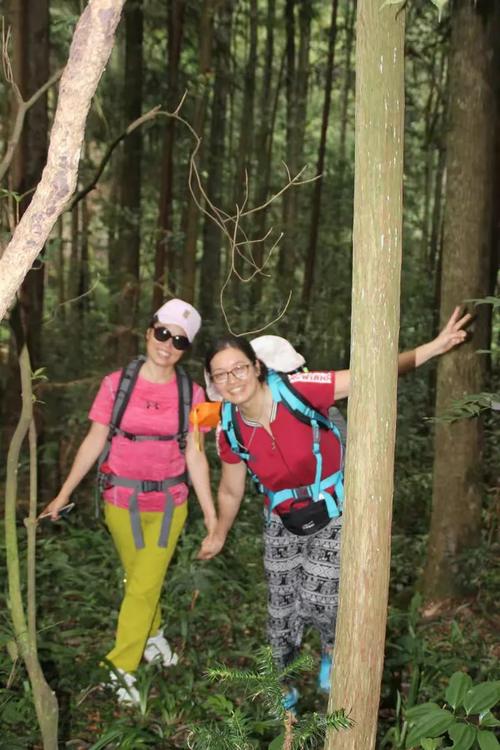 辞职带儿子徒步千里,徒步千里征婚,家人却不支持,该怎么办?