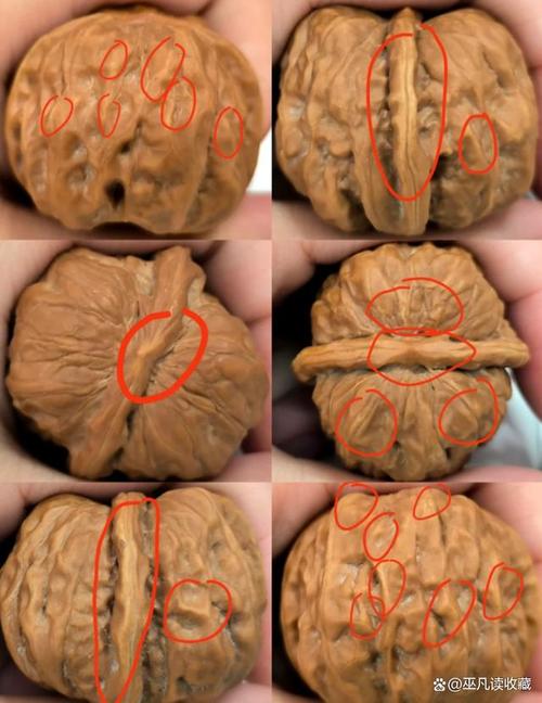 盘了4年的核桃发芽了,文玩核桃发芽是为什么?