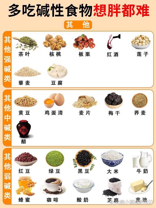 碱性食物减肥真相,碱性食物减肥真相揭秘