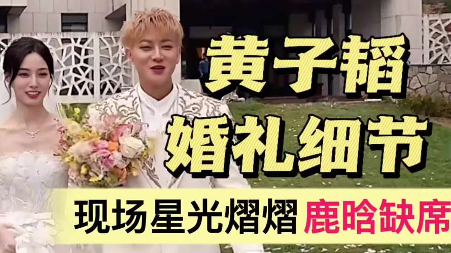 鹿晗没去黄子韬婚礼,鹿晗黄子韬退队原因