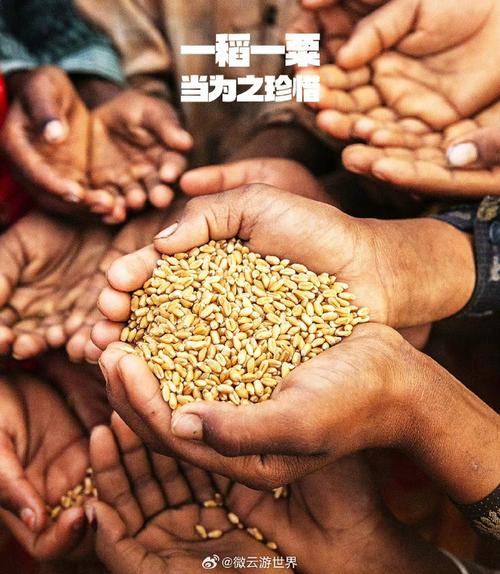 中国护世界粮食安全,保障粮食安全的措施有哪些?