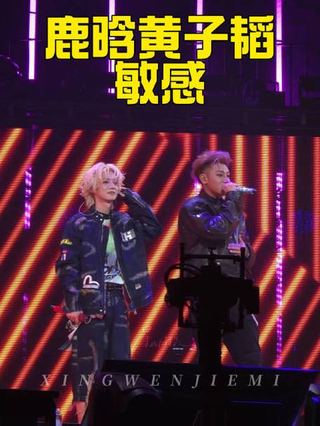 鹿晗没去黄子韬婚礼,鹿晗黄子韬一起参加某真人秀节目?