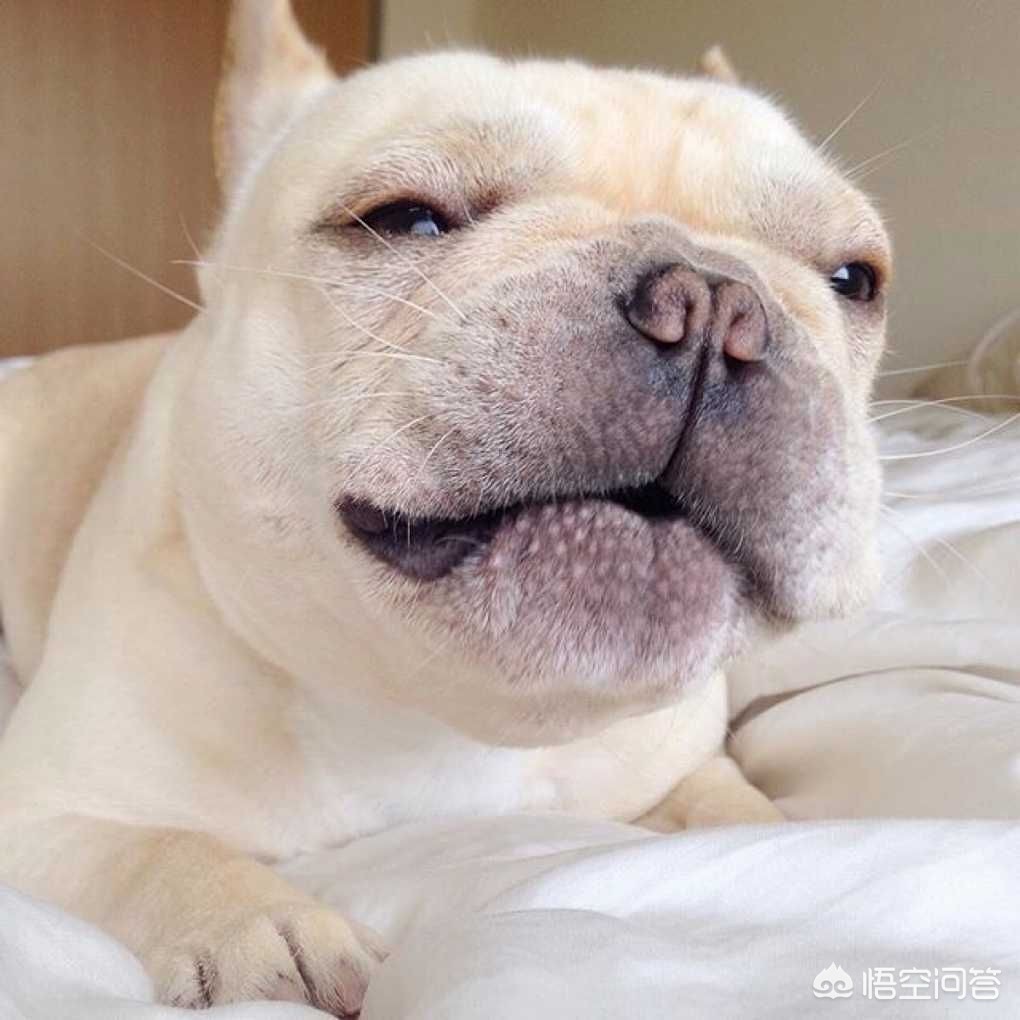 最疼皮肤病高发期,皮肤病的高发期 最疼皮肤病高发期,皮肤病的高发期