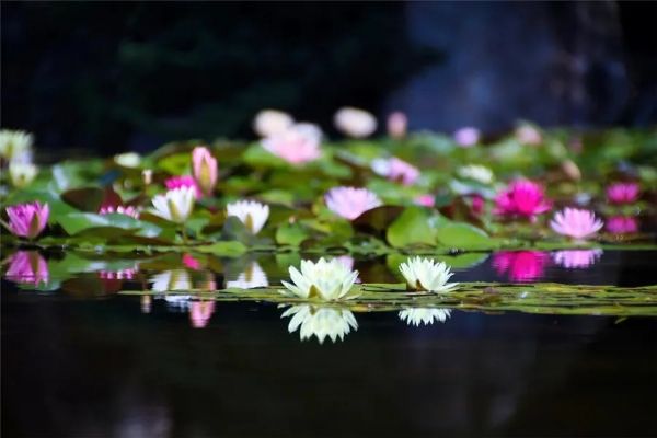 关键时刻有关键抉择,简爱的五次选择? 关键时刻有关键抉择,简爱的五次选择?