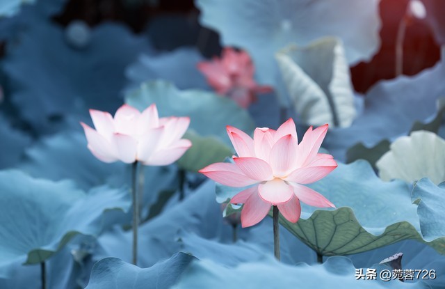 山西地震震感明显,山西是地震多发地区吗？历史上山西有发生过大的地震吗？