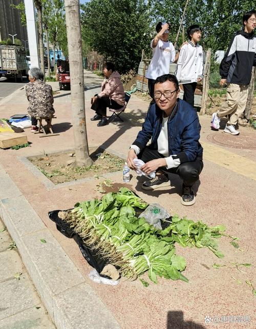 自驾到内蒙捡蔬菜,内蒙古能种青菜吗?