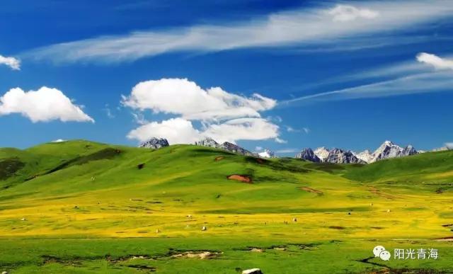 下地干活式旅游火了 ,为什么所有人都觉得中国新年越过越没劲,越来越没有小时候得感觉和味道,反而成了大家?