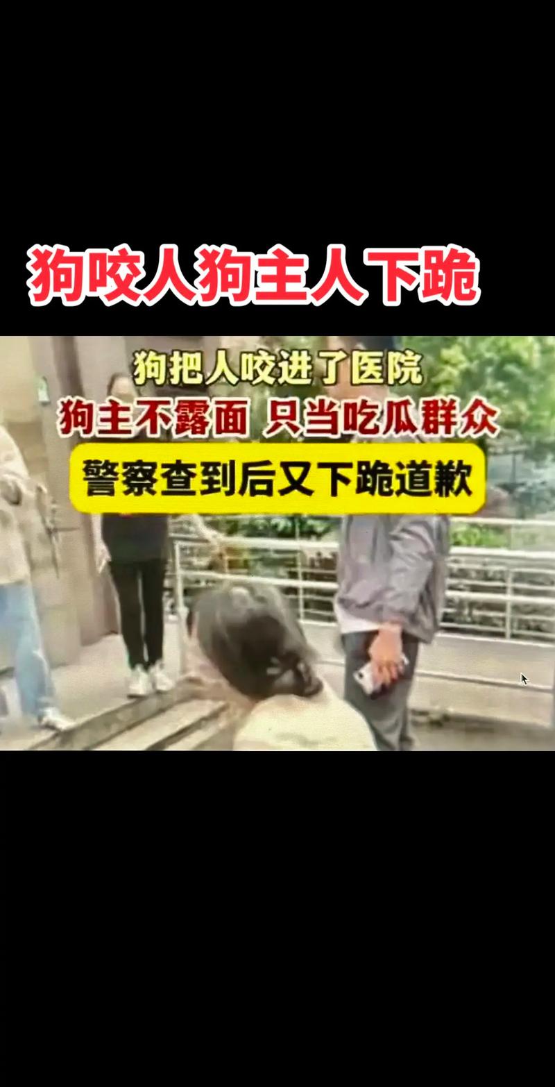 男子训练狗撕咬人,男子训练狗撕咬人视频