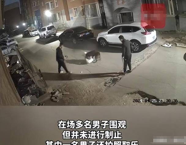 男子训练狗撕咬人,6岁男童被两只狗撕咬缝80多针,男童家属刑事控告狗主人,狗主人是否会被追究刑事责任?