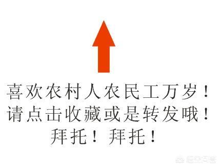 河南多地下雪了,河南多地下雪影响小麦嘛？