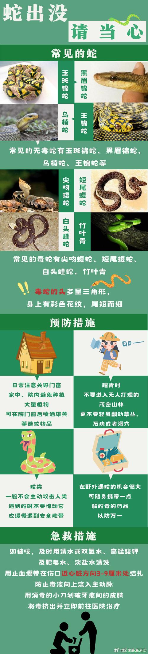 上厕所被蛇顶到屁股,被蛇爬到身上怎么办