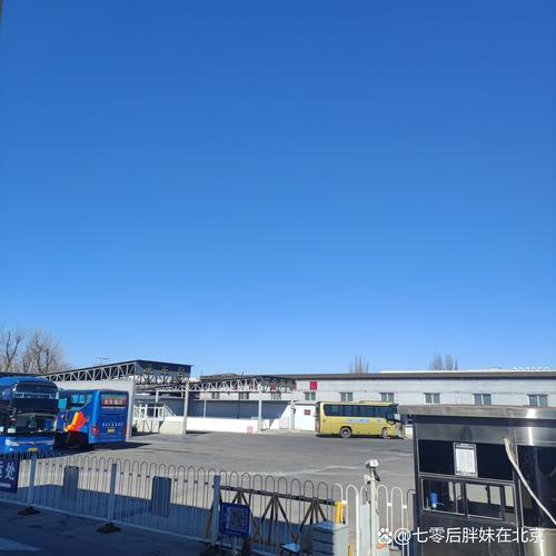 北京今年冷出新高度,2021年北京冬天冷不冷?