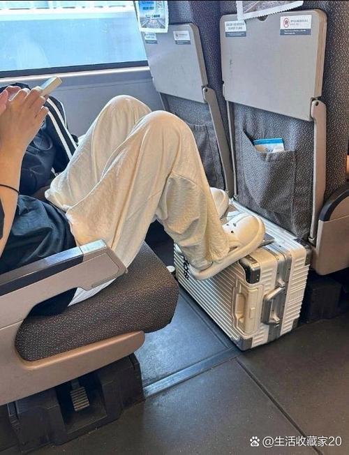 坐高铁不用扛行李了,高铁需要托运行李吗?