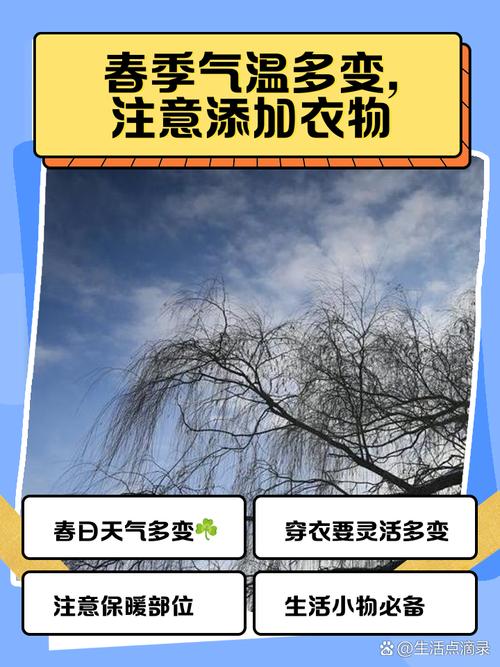 22个城市创气温新低,今早杭州最低气温创下2月以来新低!但看到它们来了,你觉得春天还会远吗?