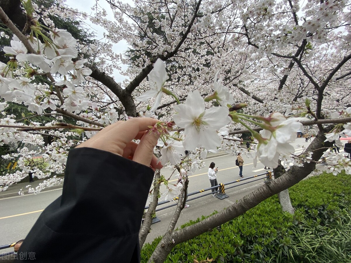 18个国家级都市圈,国家级郑州都市圈范围? 18个国家级都市圈,国家级郑州都市圈范围?