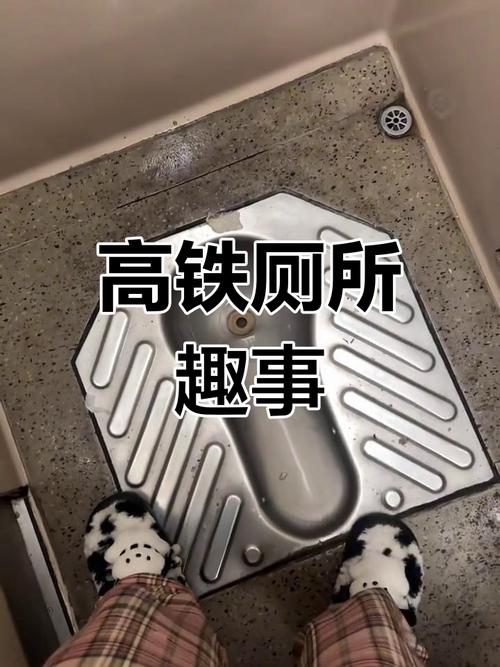 被困高铁厕所10分钟,高铁有厕所吗?