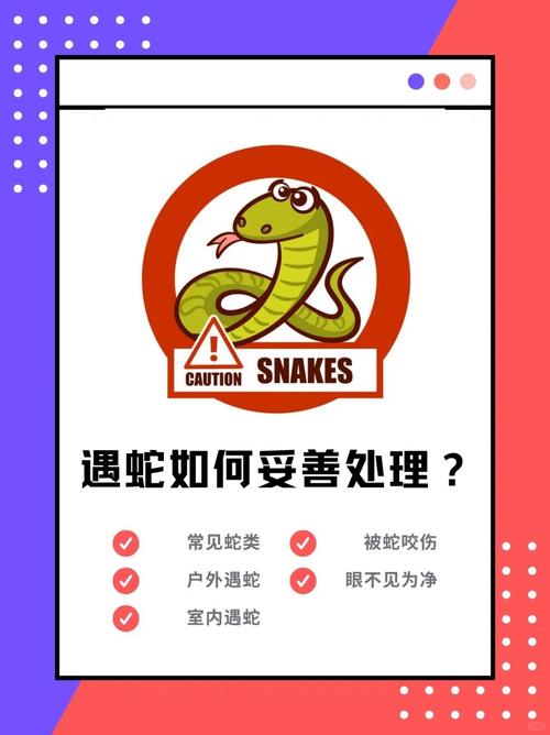 上厕所被蛇顶到屁股,厕所里有蛇怎么办?
